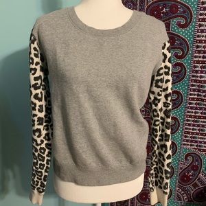 Pacsun: Grey Sweatshirt